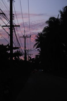 Silhouetted palm trees and utility poles against a purple dusk sky create a serene atmosphere.