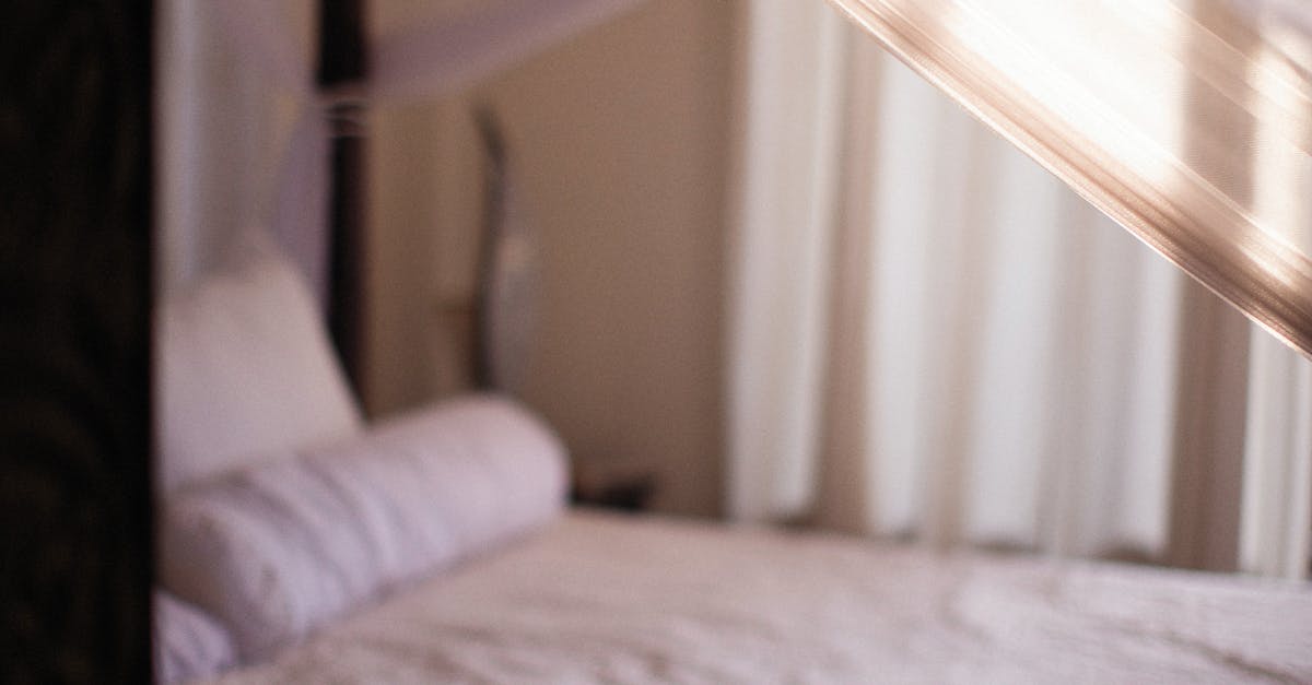 A cozy bedroom featuring a soft bed draped with elegant sheer canopy curtains.