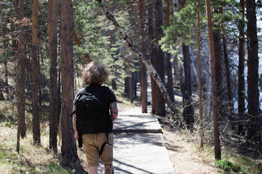 Man with backpack walking on a forest trail surrounded by trees on a sunny day.