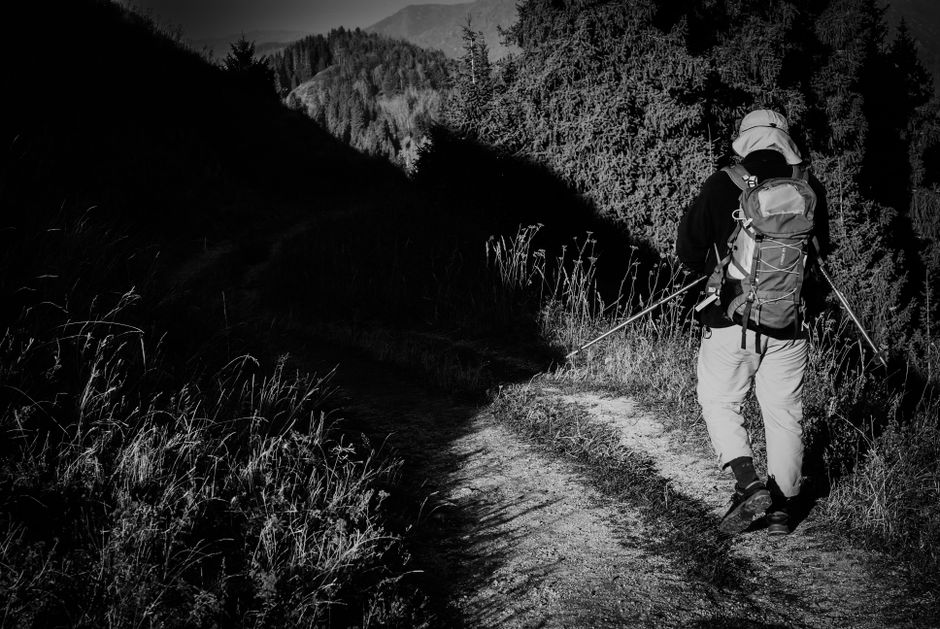 hiking trail forest path nature trekking