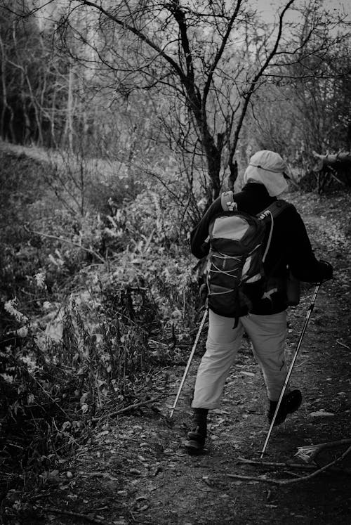 Person Walking in the Forest Using Trekking Poles
