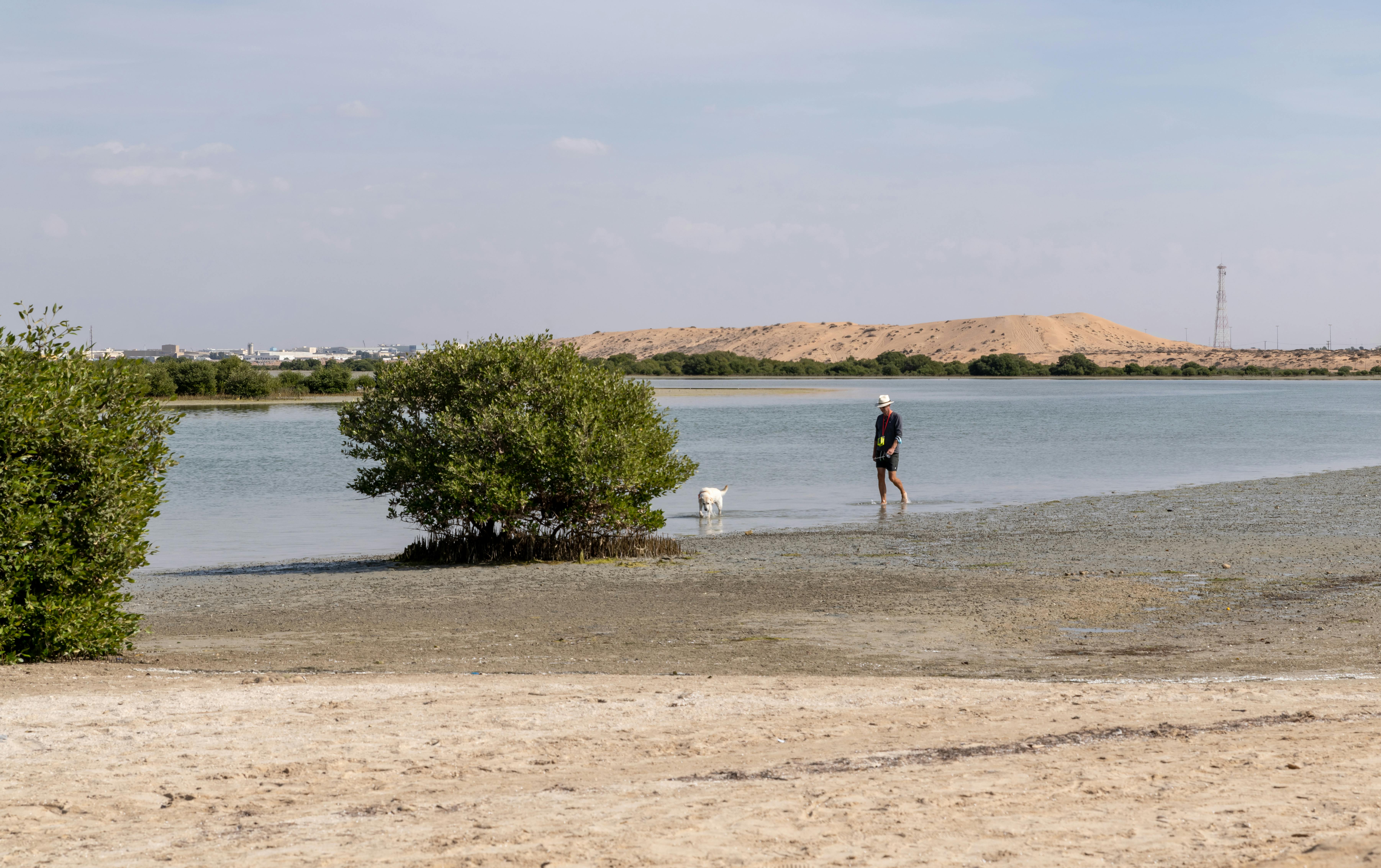 A man walks his dog along a sandy shore in Dubai, United Arab Emirates.