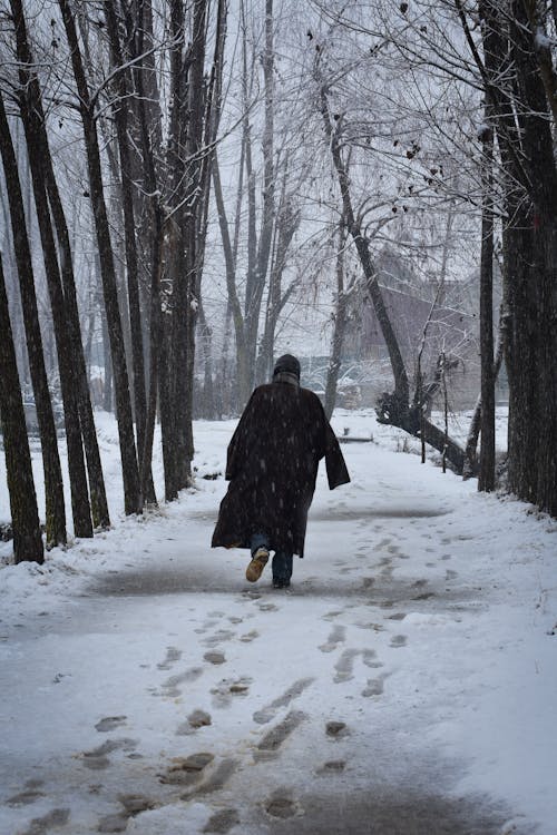 Person in Black Coat Walking on Snow Covered Pathway Between Bare Trees