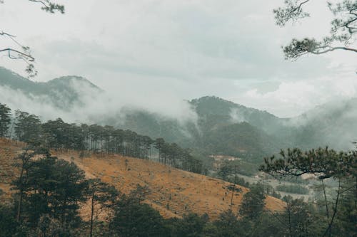 Gratis stockfoto met berg, bewolkt, bomen