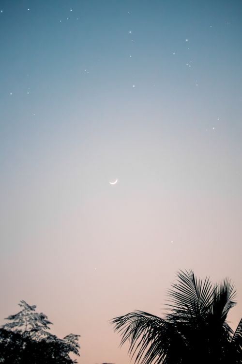 Free Captivating crescent moon and starlit sky over silhouette trees during twilight, creating a serene atmosphere. Stock Photo