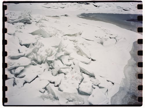 คลังภาพถ่ายฟรี ของ ชายทะเล, ธารน้ำแข็ง, น้ำค้างแข็ง