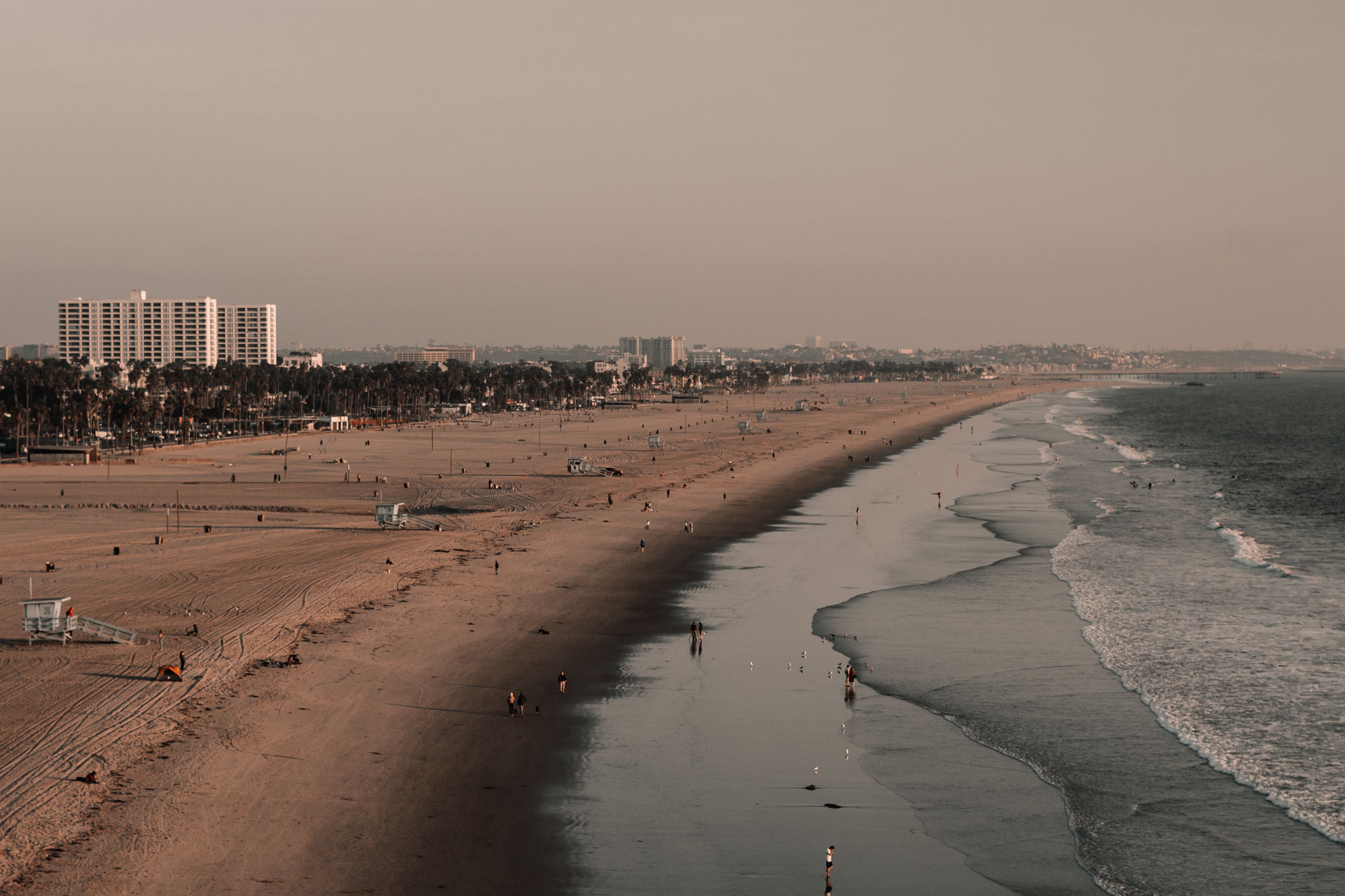 Aerial View of People on the Beach · Free Stock Photo