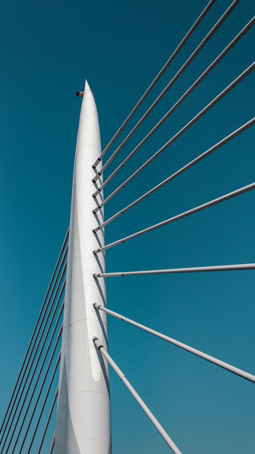 Pillar and Cables Atop the Millau Viaduct