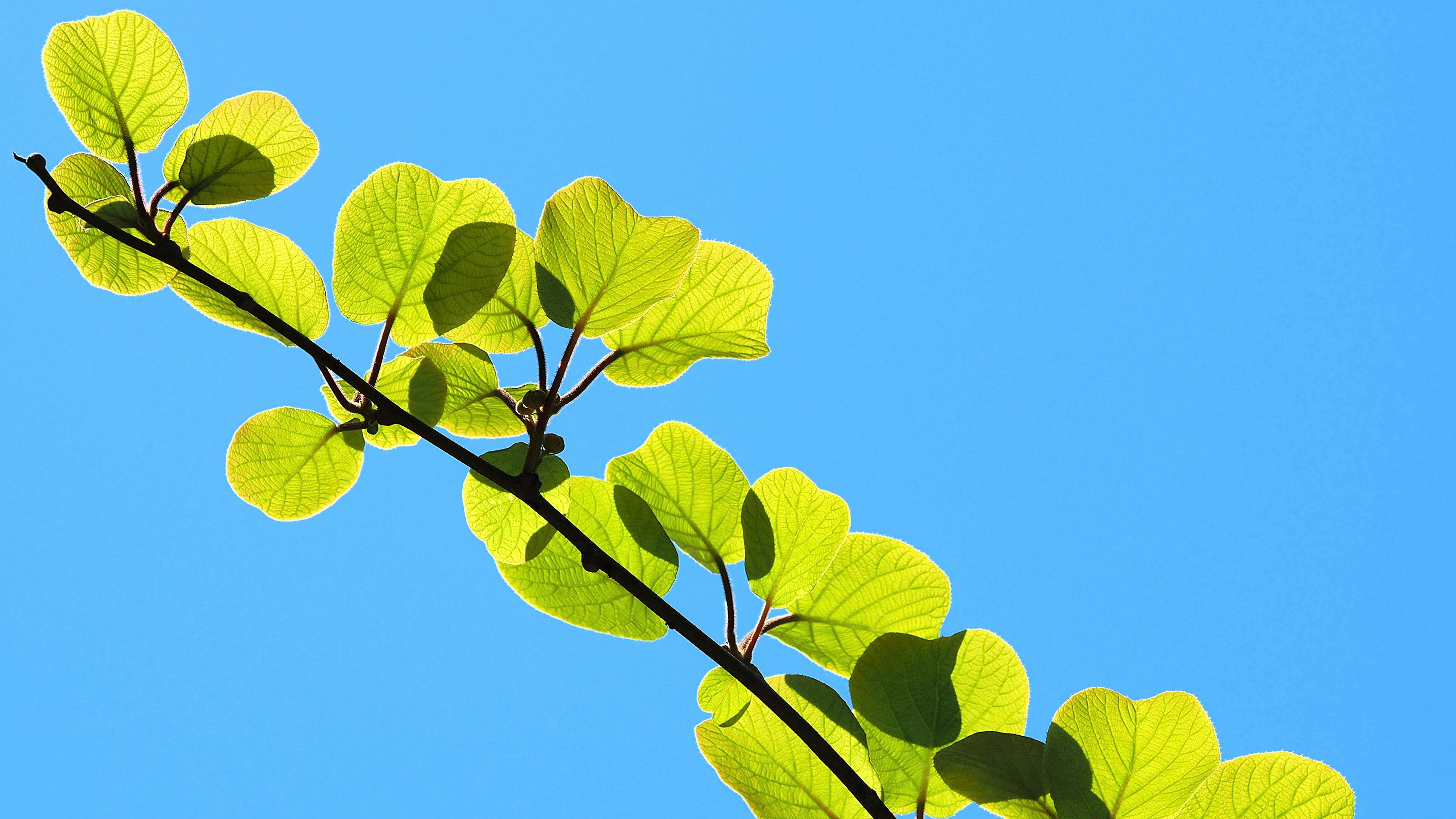 Iran war upends spring housing market. Here's what real estate agents are seeing