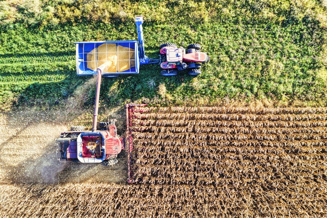 Tractors and combines harvesting American cornfields