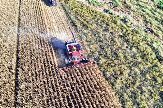 Drone captures a red harvester working a cornfield in rural Minnesota.