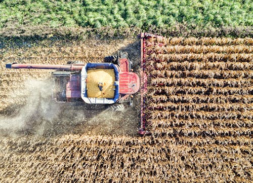 Základová fotografie zdarma na téma farma, hřiště, strojní zařízení