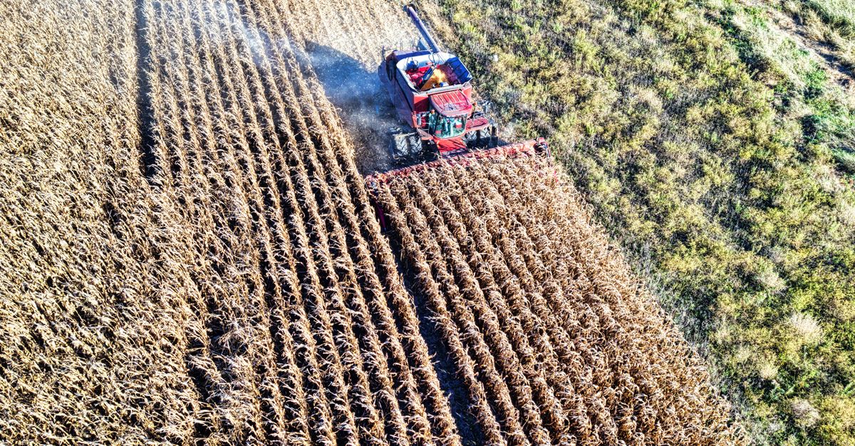 Tailandia: qué reformas elevan productividad agrícola y reducen vulnerabilidad rural Tailandia: qué reformas elevan productividad agrícola y reducen vulnerabilidad rural