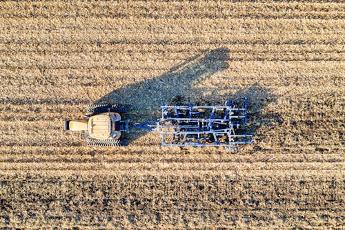 Foto profissional grátis de agricultura, área, chácara