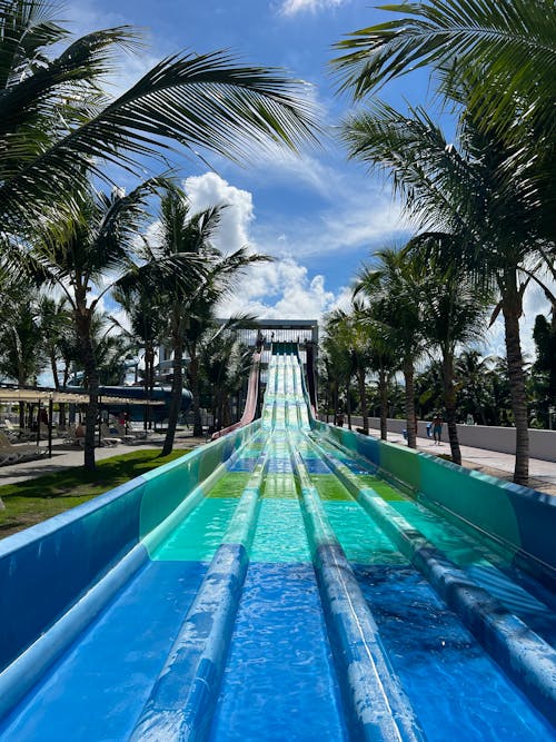 Fotobanka s bezplatnými fotkami na tému bazén, dominikánska republika, kokosové palmy