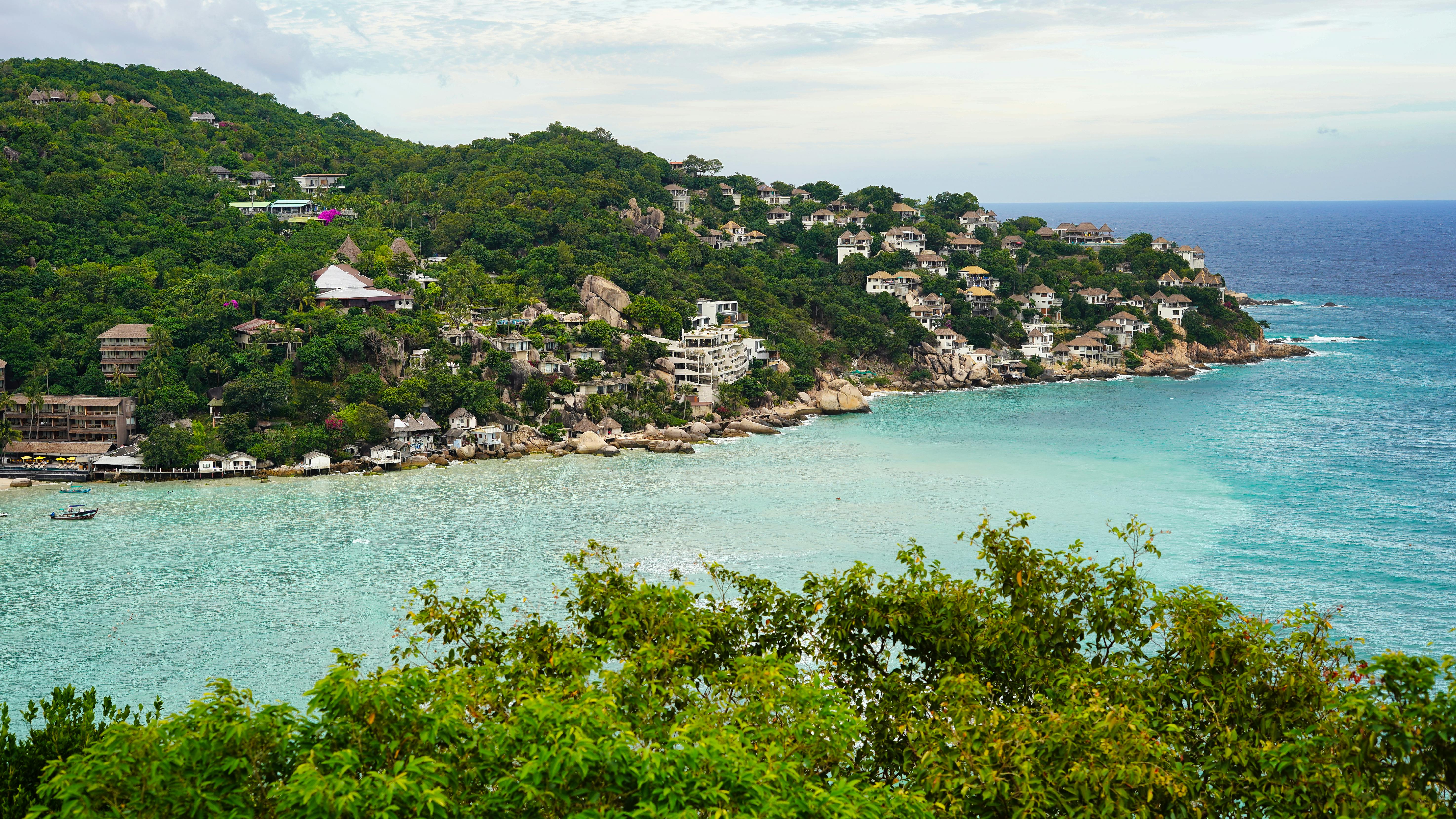 shark-bay-koh-tao-thailand-free-stock-photo