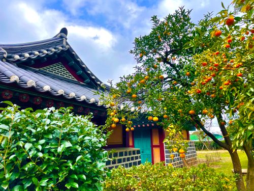 Free stock photo of jeju, korea Stock Photo