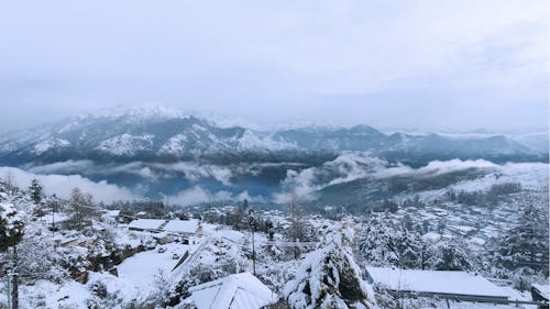 Free stock photo of blue mountains, daylight, snow