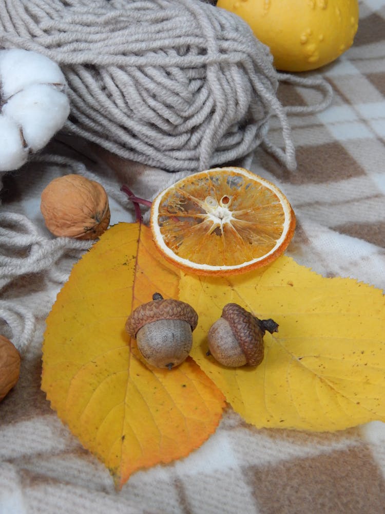 Acorns And Orange Slice On Leaves