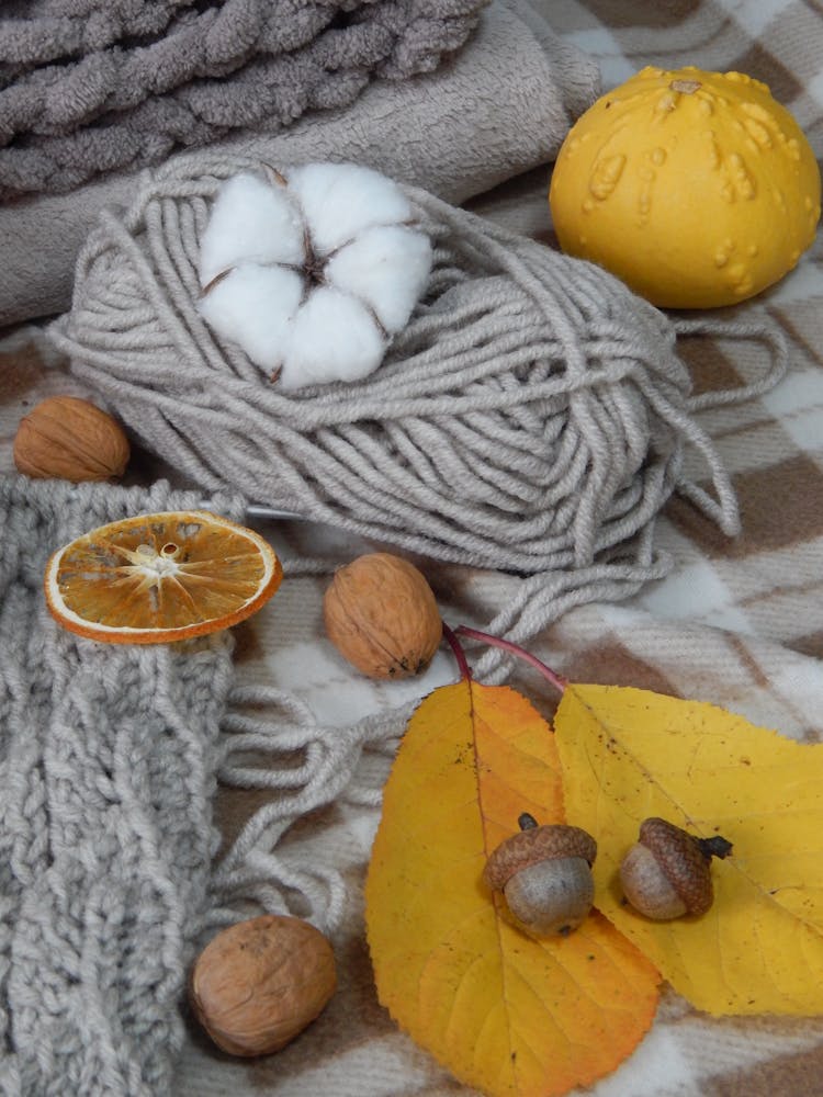 String, Orange Slice, Leaves And Acorn