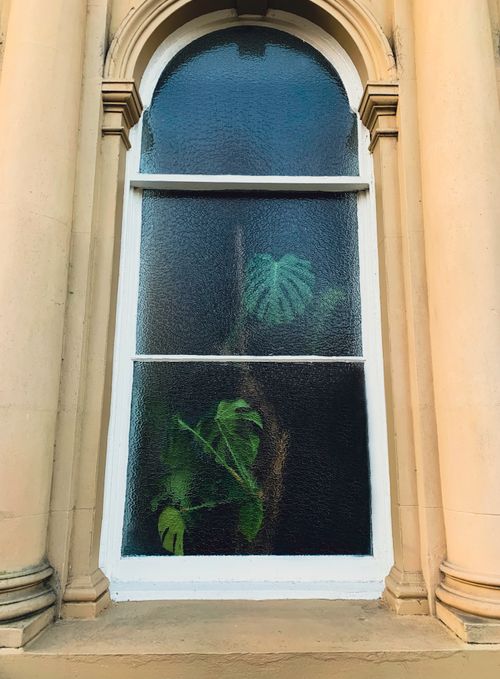 Free Vintage window with textured glass showcasing a Monstera plant inside. Stock Photo