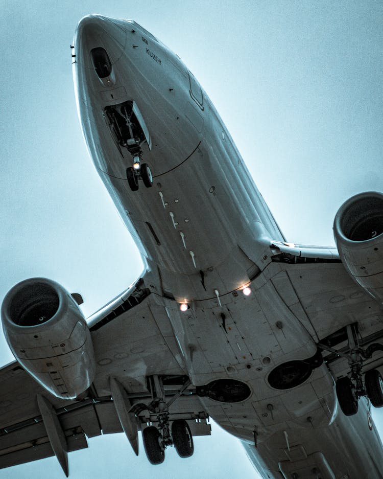 Bottom View Of A Plane 