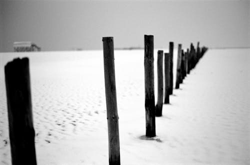Kostnadsfri bild av gråskale, snö, staket