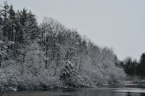 Fotobanka s bezplatnými fotkami na tému chladné počasie, Kanada, rieka