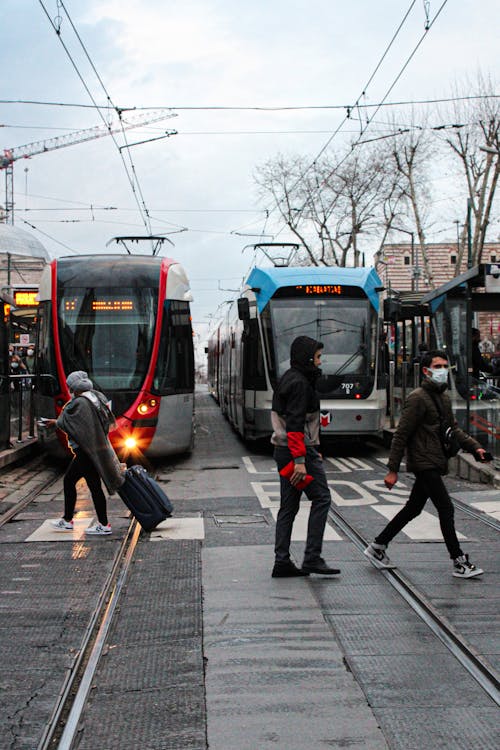 Trams on a Street and People on a Zebra Crossing