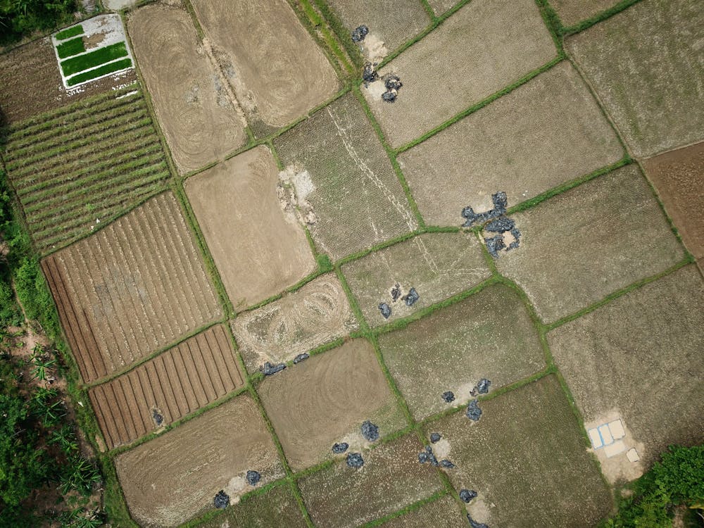 Free Aerial View of Farm Stock Photo