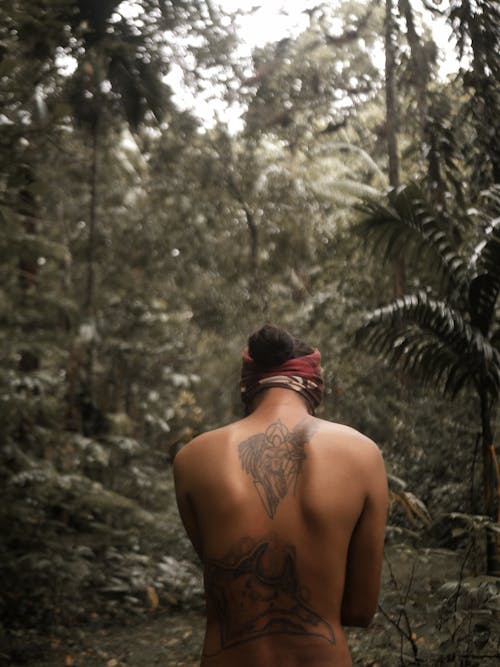 おとこ, ジャングル, 入れ墨の無料の写真素材