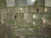 从鸟瞰视角看，绿色和棕色相间的稻田中有一座小房子