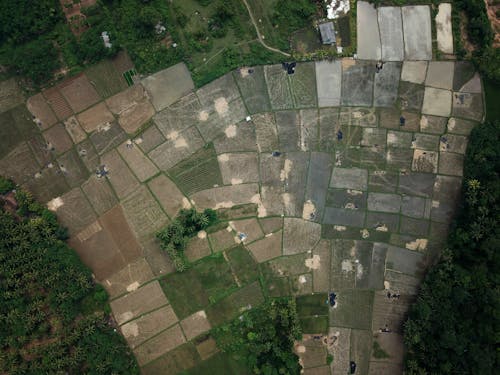 Darmowe zdjęcie z galerii z dron, indonezja, kamera drona
