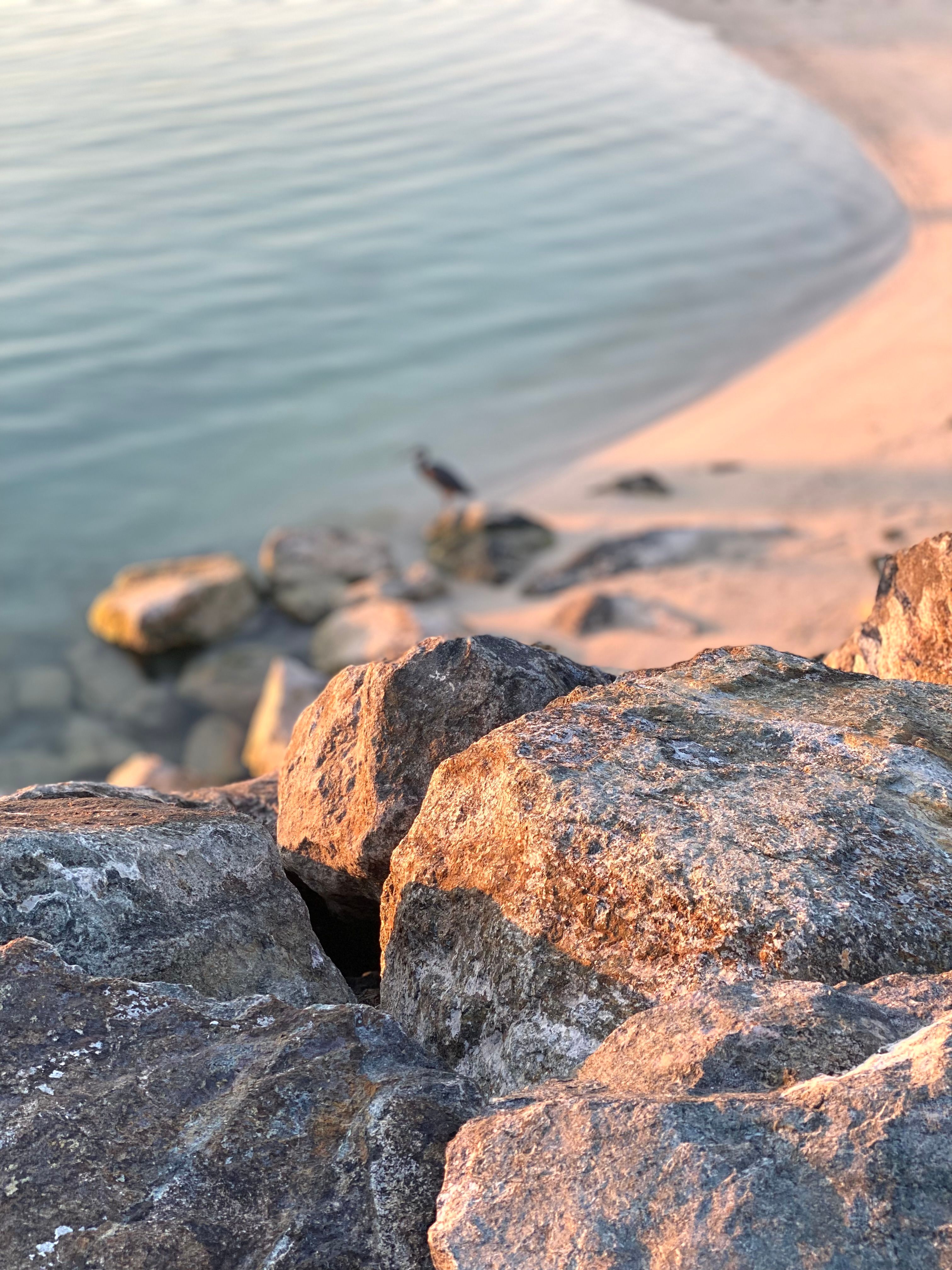 Close Up Photo of Rocks · Free Stock Photo