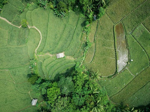 Free Aerial Photography of Green Field Stock Photo