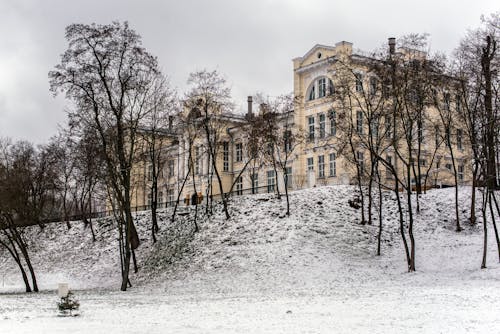 Trees in Front of a Palace in Winter 