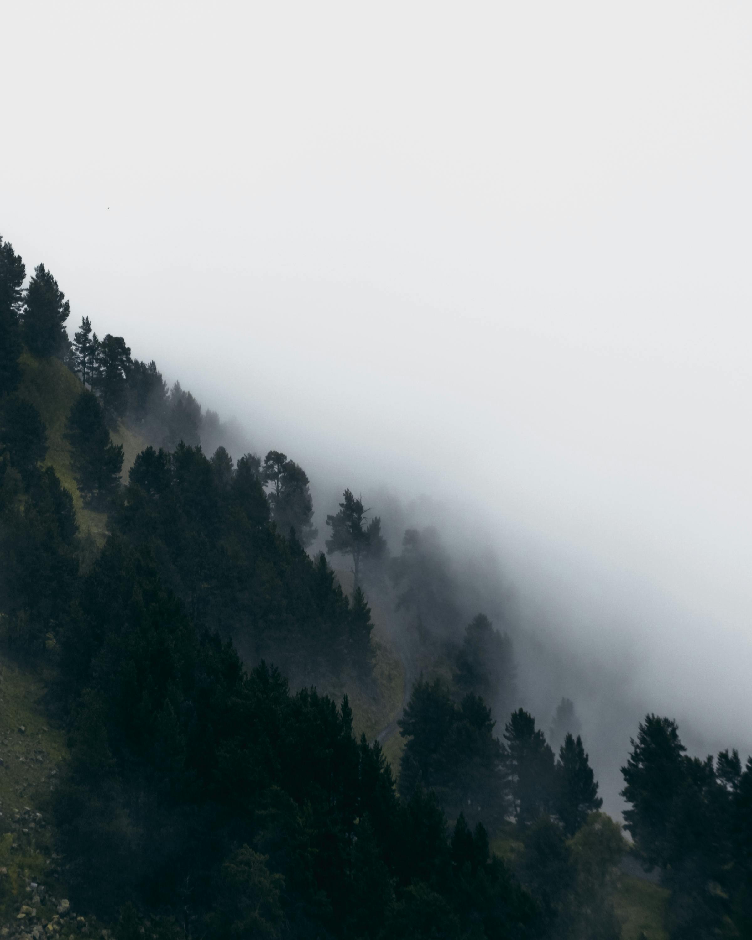 Rain Clouds over Single Tree on Hills · Free Stock Photo