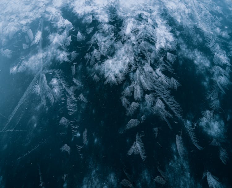 Closeup Of A Frost Pattern On A Pond