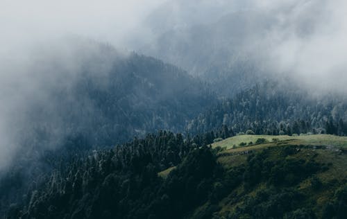 Základová fotografie zdarma na téma kopce, les, mlha