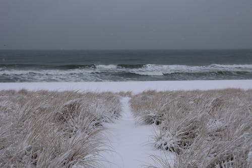 Waves on a Beach 