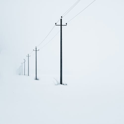 Gratis Fotos de stock gratuitas de campo, cubierto de nieve, formato cuadrado Foto de stock