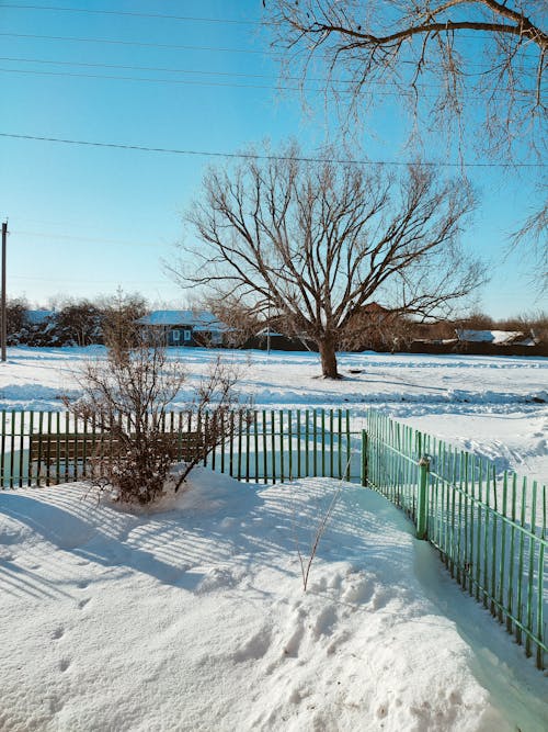 Fotos de stock gratuitas de cercas, clima frío, invierno
