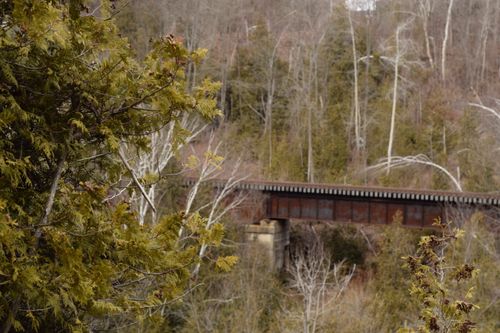 Free stock photo of bridge, nature, tree Stock Photo