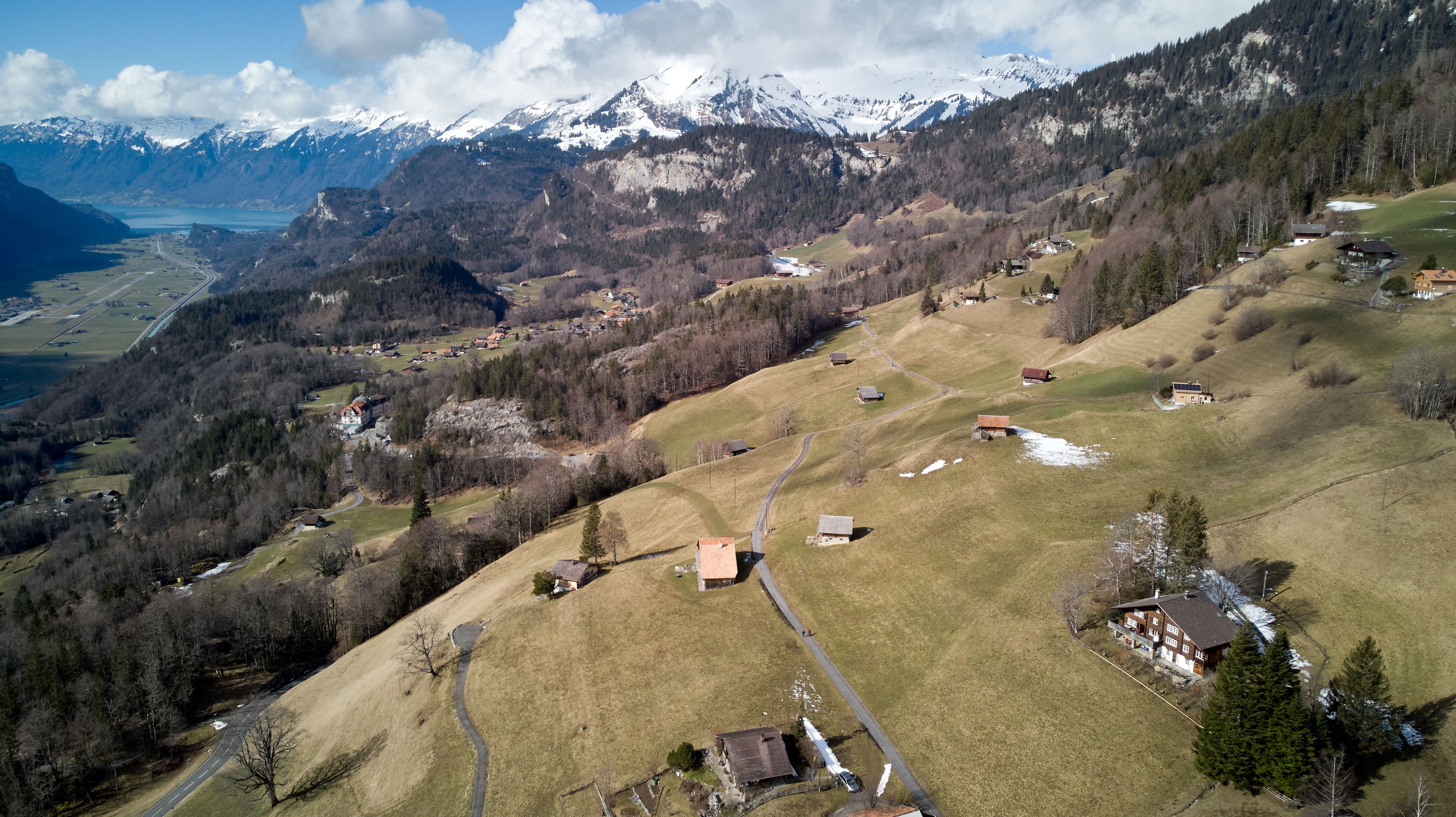 Outstanding Private Helicopter Tour to the Swiss Alps - See the Eiger, Monch and Jungfrau Review Review 2026 - Stunning aerial view of Hasliberg showcasing the picturesque Swiss Alps and surrounding meadows.
