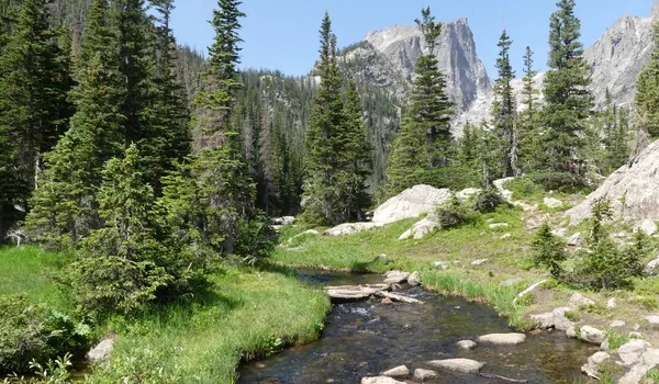 Une rivière entre les sapins du parc national de Rocky Mountain