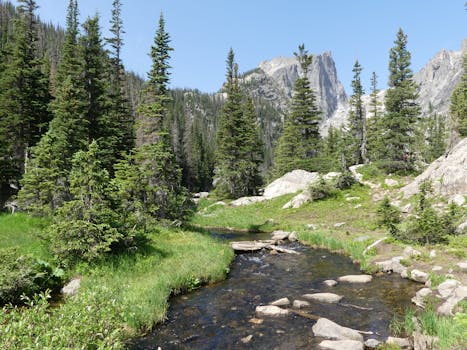 Beautiful view of a clear creek flowing through Rocky Mountain National Park in Colorado with lush fir trees and mountains.