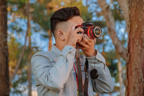 Free Man with camera taking photos in a sunny, wooded park setting. Stock Photo