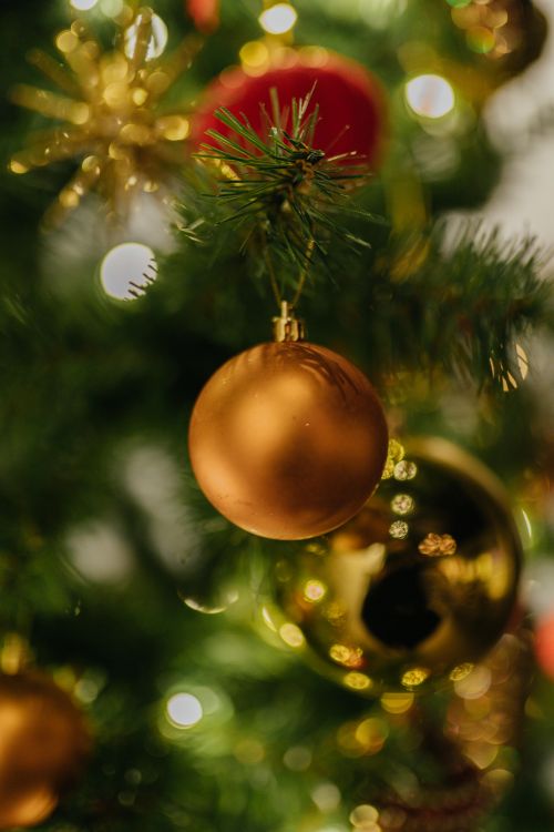 Free Close-up of a golden bauble on a Christmas tree branch, featuring soft bokeh lights. Stock Photo