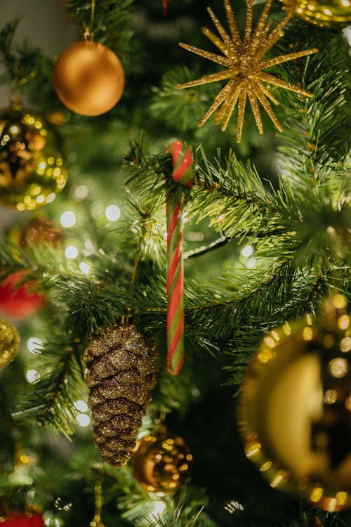 Christmas Ornaments Hanging on Christmas Tree