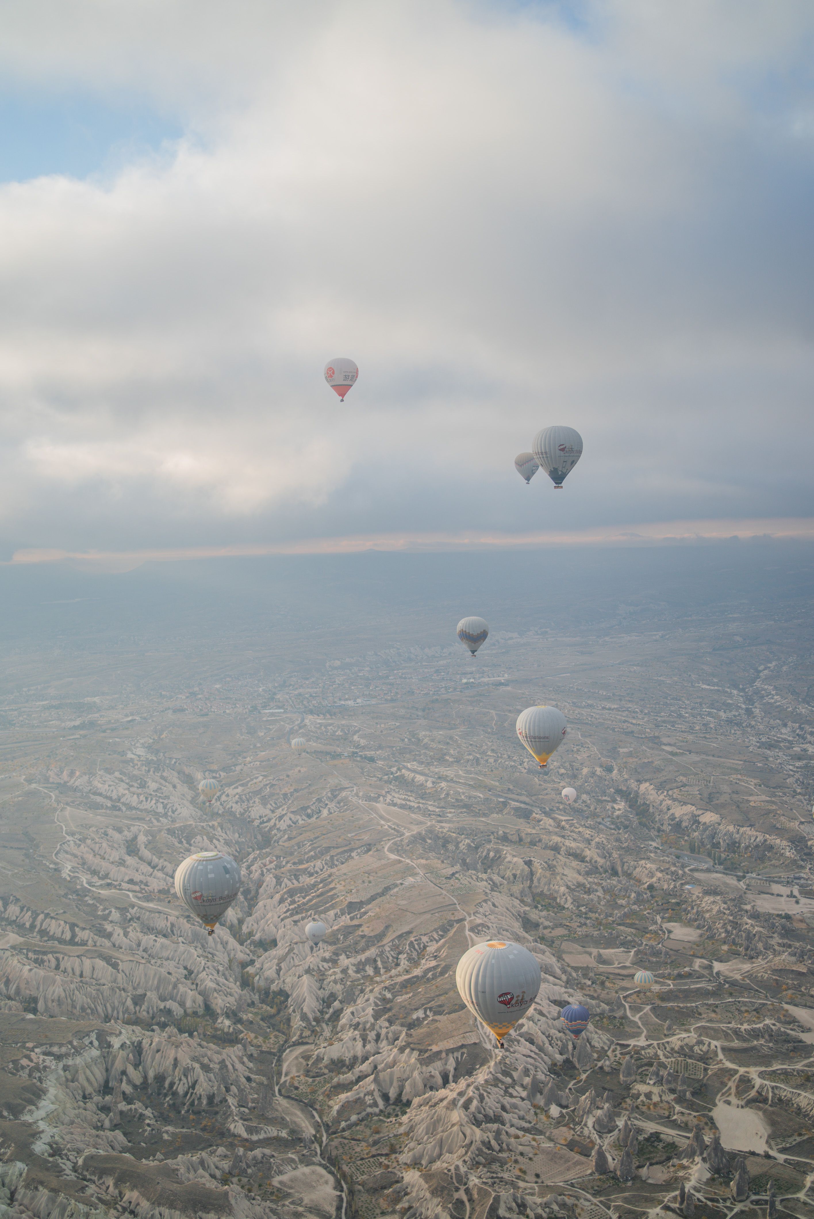 Hot Air Balloons Flying in the Sky · Free Stock Photo